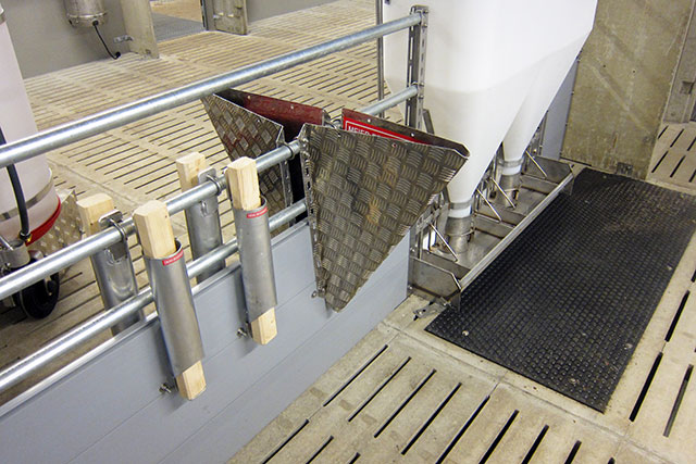 Scheuerwand und Knabberrohr im Meier-Brakenberg Stall Installation Tierwohl-Produkte in einer 24'er Mastbucht. Zwei Knabberrohre, eine Scheuerwand und die Porky's Fun Box erfüllen die Tierwohlkriterien.
