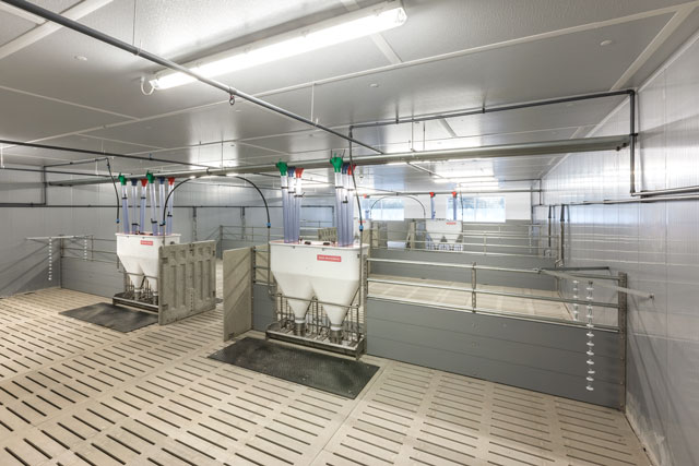 View of a typical fattening pen at Meier-Brakenberg. These are Meier-Brakenberg automatic feeder in a drinking system circulation line. Robust protective floor plates protect slatted floors. 