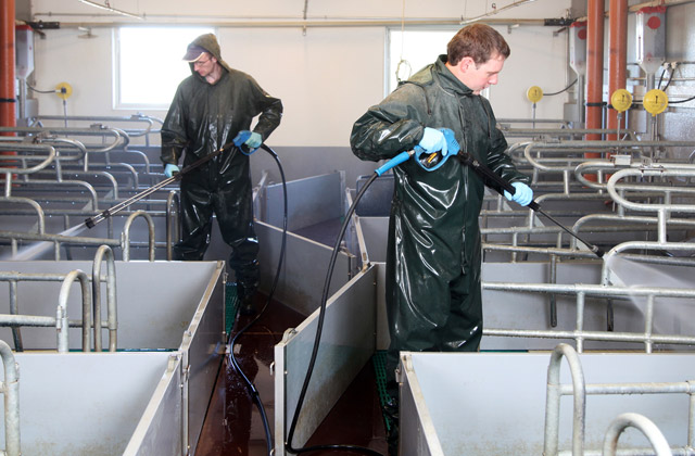 The frequency-controlled professional high-pressure cleaners make it possible to clean machines and stables with two persons at the same time. In the picture: Two users wash farrowing pens simultaneously. Also, the users can flexibly select between different washing performances and pressures. Our large volume pumps make it possible for up to 10 users to clean at the same time.