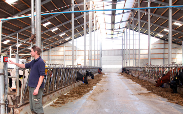 Low-pressure cooling in dairy cattle buildings achieves great success in maintaining milk yields due to the increased animal well-being and thus a consistently high feed intake.