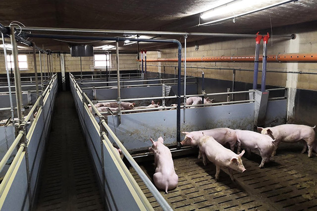 Pellettförderung Die Pellets werden in Außen- oder Innensilos gelagert und dann über eine ketten- oder motorgetriebene Futterannahme unter den Silos aufgenommen. Bis zu zwei Anlagen können mit einem Silo betrieben werden.