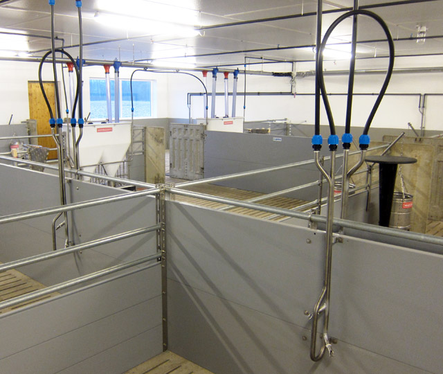 The circulation drinking system holders are mounted to a loop line. Special: connection of the drinking system is established via a flexible PE pipe at a pen partition wall. The circulation line is ideally suitable for dosing medications. The return flow pipe serves as a guard bracket in front of the nipples.
