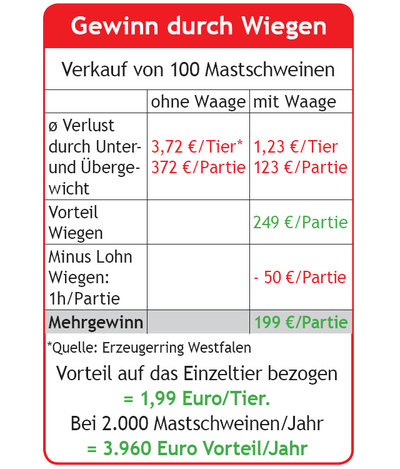 Studie zur Nutzung der mobilen Einzeltierwaage Studie des Erzeugerring Westfalen zur Nutzung der mobilen Einzeltierwaage als Vermarktungsinstrument um das Schlachtgewicht von Mastschweinen zu optimieren.