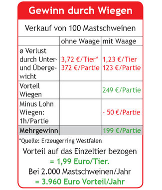 Studie des Erzeugerring Westfalen zur Nutzung der mobilen Einzeltierwaage als Vermarktungsinstrument um das Schlachtgewicht von Mastschweinen zu optimieren.