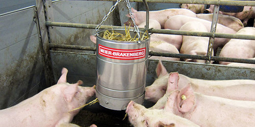 Die Porky's Fun Box eignet sich ideal zur Rauhfuttergabe im Schweinestall. Es bietet den Tieren eine dauerhafte Beschäftigungsmöglichkeit. Im Bild sehr gut ersichtlich: an der Fun Box finden 5 und mehr Tiere Platz und Beschäftigung.