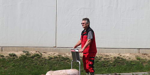 Auf dem Porky's Pick Up wird ein Kadaver aus dem Stall zum Verladeplatz transportiert.