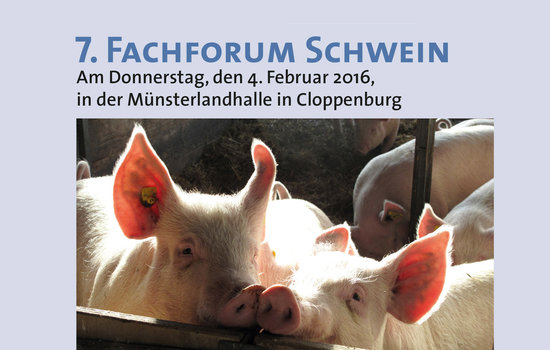 Dem Fachpublikum bietet die Landwirtschaftskammer Niedersachsen dieses Jahr ein interssantes und informatives Rahmenprogramm. Meier-Brakenberg stellt Profi-Reinigungs- und Wiegetechnik aus.