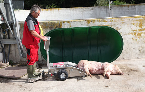 Am Kadaverplatz entläd der Anwender das tote Tier - ähnlich wie beim Aufnehmen über die Förderwalzen des Porky's Pick Up.