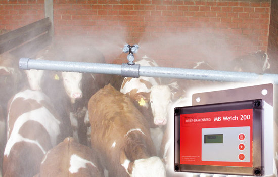 Low-pressure cooling in cow stables leads to higher milk yields: when animals feel well their feed intake increases and thus the milk output.